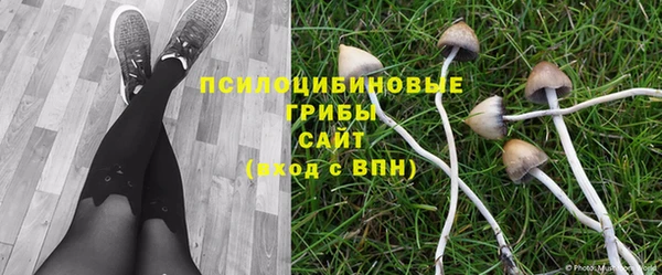 мет Гусев