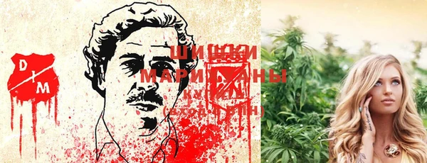 каннабис Гусиноозёрск