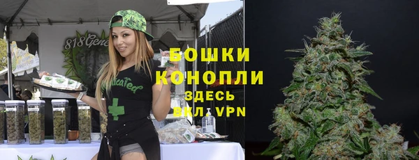 мет Гусев
