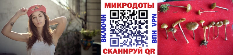 Псилоцибиновые грибы ЛСД  Ногинск 